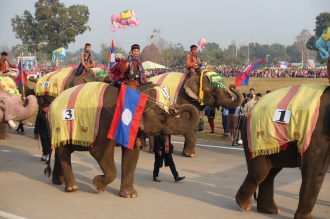 Elephant Festival to be held next month